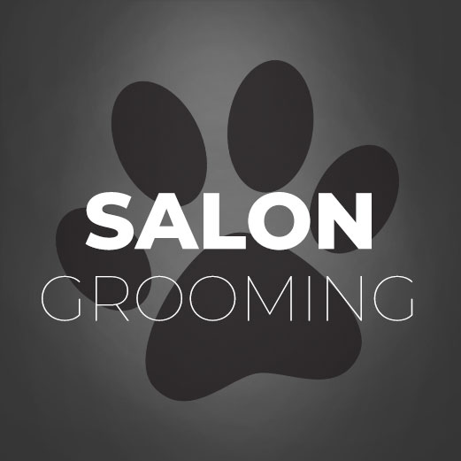 Salon Grooming Courses